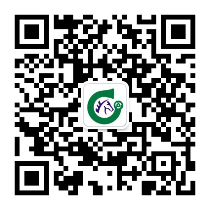 底部二维码