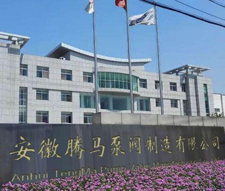 首页关于我们插图